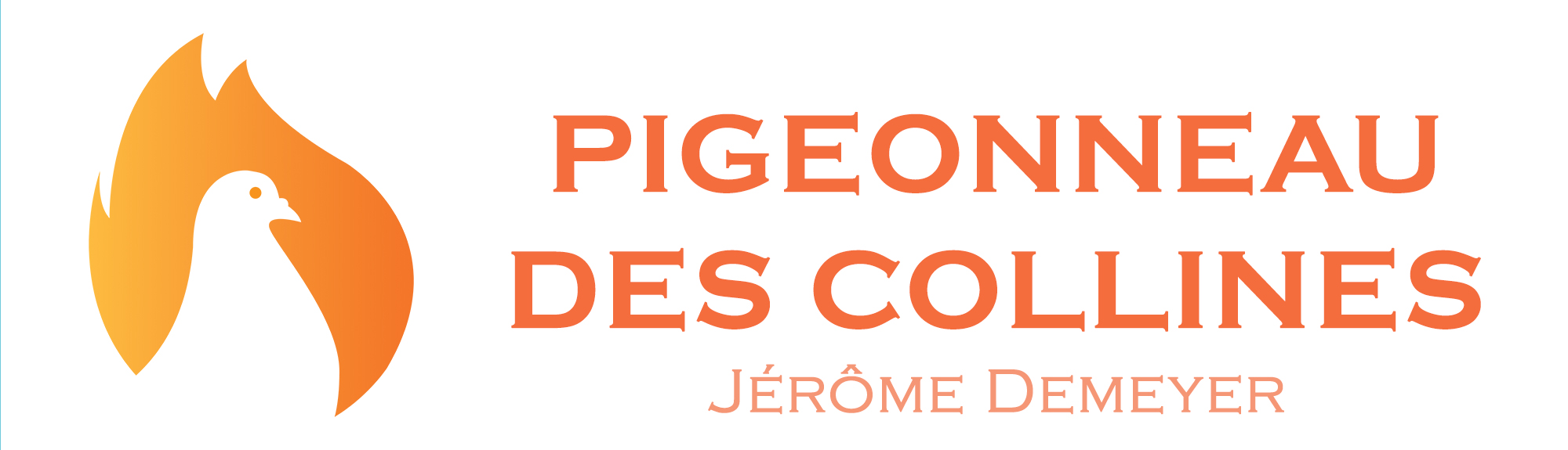 Pigeonneau_des_Collines